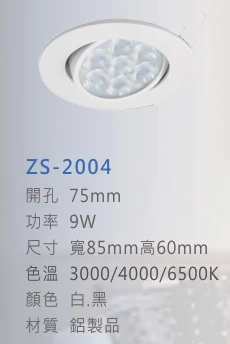 ZS-2004