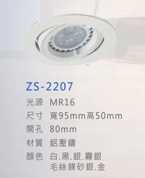 ZS-2207