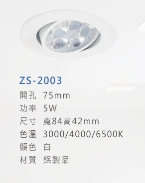ZS-2003