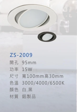 ZS-2009