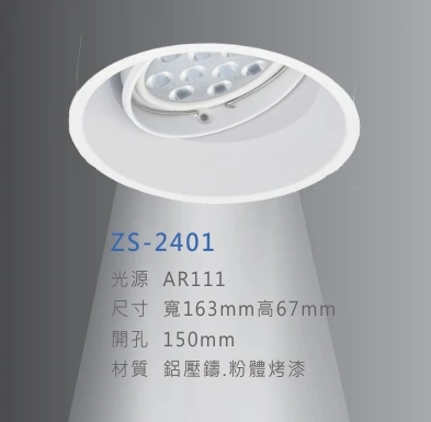 ZS-2401